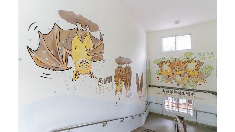 誠正國小的樓梯間透過清新可愛的彩繪，介紹著蝙蝠的作息週期。